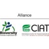 HarvestPlus – Alliance Bioversity-CIAT