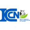 ICCN